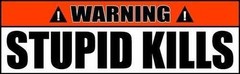 Stupid Kills Funny Bumper Stickers 2Pack Funny Decals 8″ wide Orange White #36
