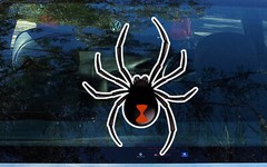 Redback Spider Sticker Aussie Funny Decal Car Window Laptop 2cm~140cm