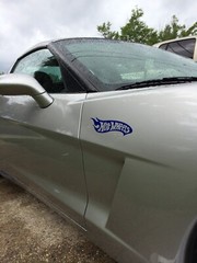 Two Hot Wheels Decal right and left sides 9 inch