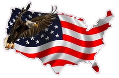 American Eagle United States Decal Large v2 12″