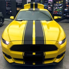 4 Lines Racing Stripe Car Sticker Kit For All Models Bonnet Roof Rear Decal