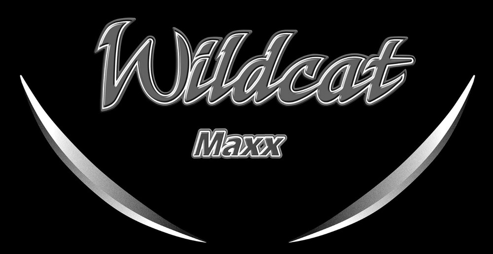 4 RV Trailer Camper Wildcat Max Logo Front Cap Stripe Graphics Decals-3069-2