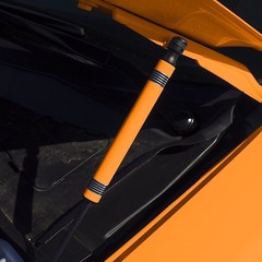 Dodge Charger Hood Strut Cover Decal Graphic Dress Up Kit CHOOSE YOUR COLOR