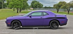 FOR 2011-2023 Dodge Challenger Roadline Body Stripes 3M Vinyl Graphics Decals