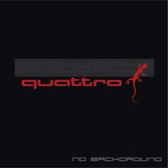 Audi Gecko quattro decal Sticker EURO Racing mod A4 S4 S3 TT R8 A6 Q5 Pair