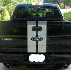 Dual 8″ Plain Racing Rally Vinyl stripes stripe decal fits Ford F150 F250 Roush