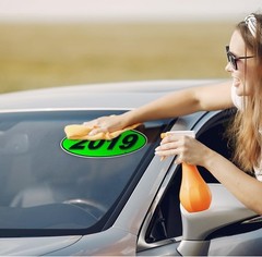 Chartreuse Green Black 2019 Oval Model Stickers for Windshield 12 Pack