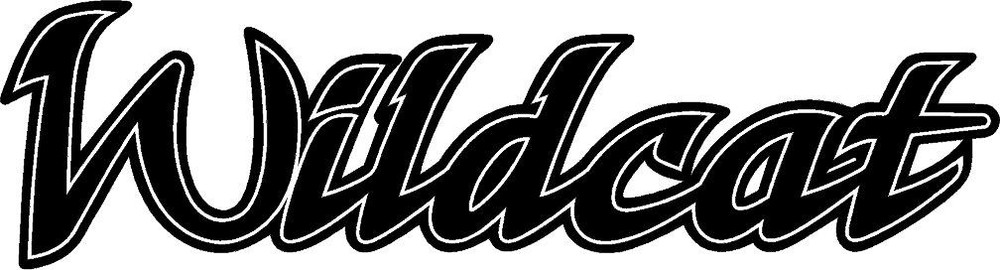 Wildcat RV Logo 32.5″ X 8.75″ RV Trailer Graphic Decal Camper Black