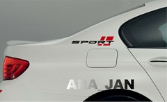 SPORT Decal Sticker car racing stripe turbo auto emblem logo motorsport PAIR