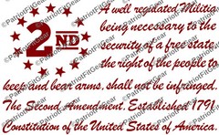The Second Amendment,12″x7.5″,Gun Rights,Molon Labe,We The People,Vinyl Decal