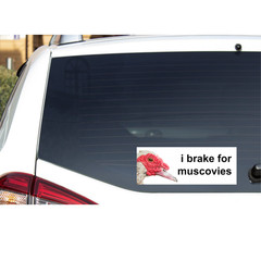 I brake for Muscovies – Bumper Sticker -Muscovy – Weather Resistance