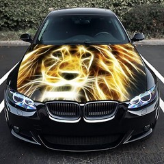 Lion Abstract Car Hood Wrap Decal Vinyl Sticker Full Color Graphic Fit Any Car