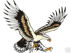 CUSTOM EAGLE FULL COLOR HOOD DECAL 20 x 24″