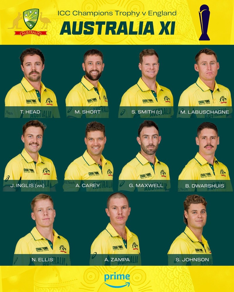 LAMINATED CRICKET Australia one day Cricket team player posterCHAMPIONS,2