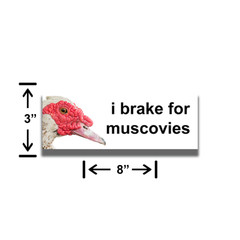I brake for Muscovies – Bumper Sticker -Muscovy – Weather Resistance