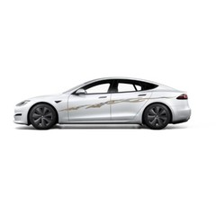 Illusions Barracuda LARGE Graphics for Cars & Trucks (432; 6″ X 120″)