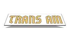 1976 1977 1978 Black Trans Am Special Edition German Gold Name Bird Stripe Decal