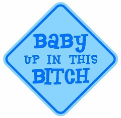 Baby Up In This Bitch Car Window Bumper Sticker Decal