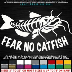 Catfish Fear No Catfish Look Right