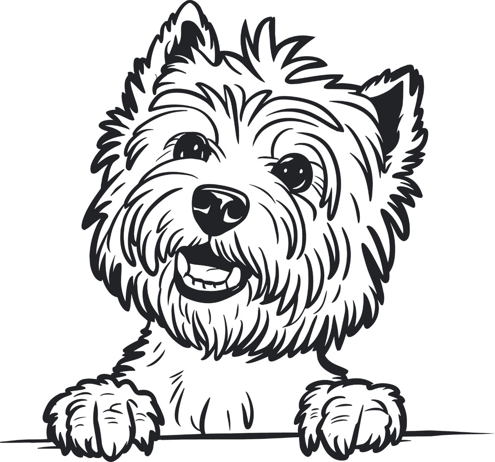 Westie West Highland Terrier Peeking Premium Customizable Vinyl Decal Waterproof