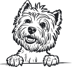 Westie West Highland Terrier Peeking Premium Customizable Vinyl Decal Waterproof
