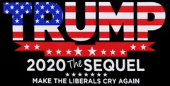 Lot of 6 Trump 2020 The Sequel Make The Liberals Cry Again Black Bumper Sticker