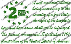 The Second Amendment,12″x7.5″,Gun Rights,Molon Labe,We The People,Vinyl Decal