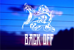 BACK OFF – SNAKE Vinyl Die Cut Vinyl Decal/ Bumper For Windows, Cars, Trucks, La