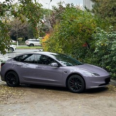 For Tesla Model 3 Highland 2024-UP Paint Protection Wrap Provence Purple PPF