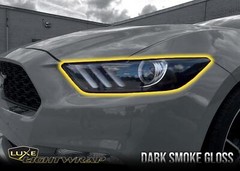 Luxe Auto Concepts 2015-17 Mustang Headlight Reflector Tint Kit