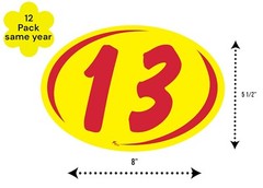 Windshield Model Year Vinyl Highlights Duo Digits Stickers Red & Yellow