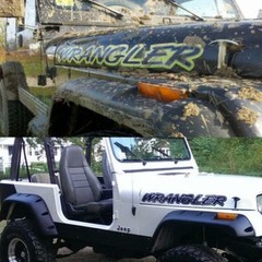 Hood decals stickers for Wrangler – 2pc set – PICK COLOR yj tj jk