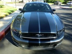 10 11 12 13 14 Ford MUSTANG 10″ DUEL Racing Vinyl Stripe Graphic Decal 36 FT.