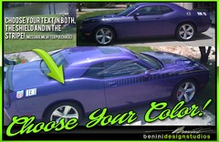 AAR Style Strobe Racing Stripes FITS 2008-2014 2015-2023 Challenger SXT RT SRT8