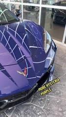 C8 Corvette HYSTERIA PURPLE METALLIC TEAM CORVETTE VINYL (2 X 5 Inches)