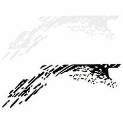 Decal Sticker Side Bed Mud Splash Kit For Ford Raptor F-150 Rear Tail 09-18