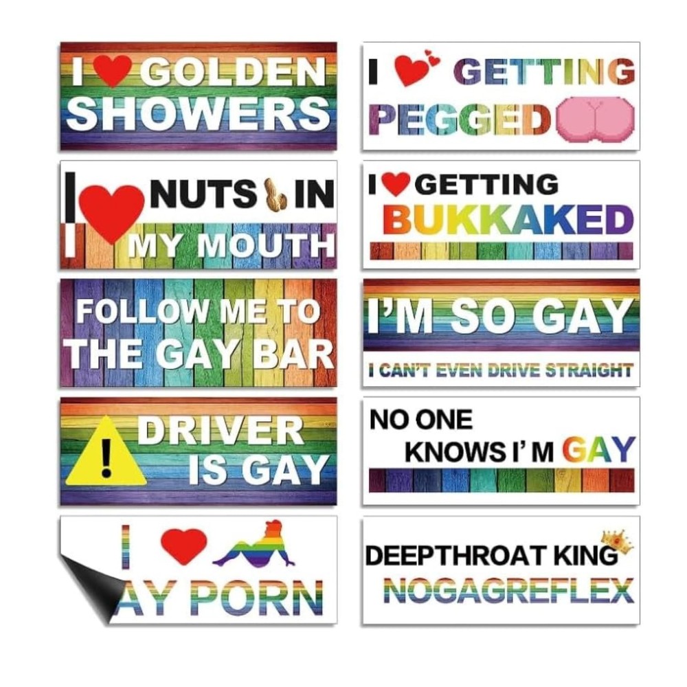 10-Pack Personalized Fun LGBT Bumper Stickers Colorful Magnetic Classic Style