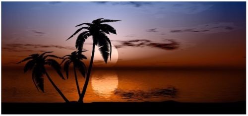 Tropical Sunset Camper RV motor home mural graphic