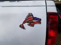 Combo USA Bone Fish Sticker American Flag Fishing Cup Car Window Bumper Decal