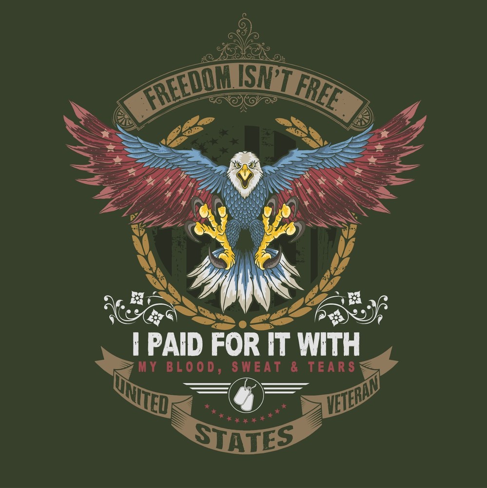 Bald Eagle American (Freedom Isn’t Free) Window Decal Sticker Vinyl 6Years+ USA