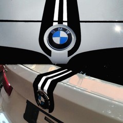 2Pcs Black Bonnet Hood Rear Trunk Decals For BMW 1 3 4 5 X3 X5 X6 M3 M4 M5 M6