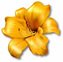 GOLD LILY FLOWER DECAL 3M USA MADE STICKER CAR TRUCK WINDOW BUMPER WALL LAPTOP