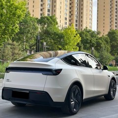 Pepper White For Tesla Model Y 2025 PreCut Paint Protection Film Wrap Color 8mil