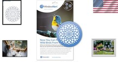 Floral Theme UV-Reflective Window Decal – Modern Dots Bird Safety Décor