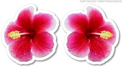 Hawaiian Hibiscus Flower Sticker Car Window Truck Vinyl Decal 2 PACK V-DRP42