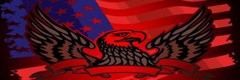 American Eagle Pick Up Truck SUV Rear Back Window Graphics Decal Wrap Tint #22