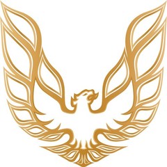 Firebird Trans AM Vintage Retro American Muscle Car Vinyl Sticker Decal Hood