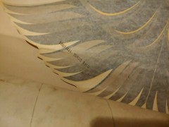 NOS 1980 Turbo TA Gold hood bird SE #2