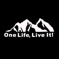 One Life Live It Mountain Decal Sticker Vinyl Auto Car Truck Camper Van Window