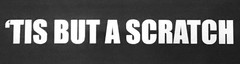 Tis But A Scratch Funny Vinyl Car Sticker Decal Van Graphics Bumper Sticker Dent
